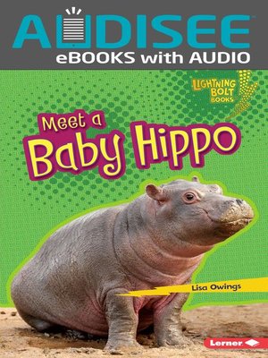 cover image of Meet a Baby Hippo